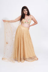 Paraag Golden embroded Net Lehenga