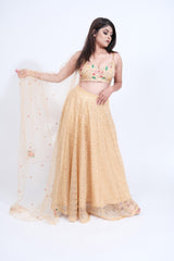 Paraag Golden embroded Net Lehenga