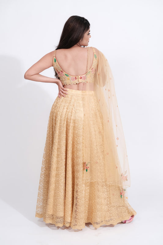 Paraag Golden embroded Net Lehenga - Sufiza Lifestyle