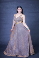 Sona Party Wear Gown